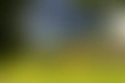 Изображение карточки