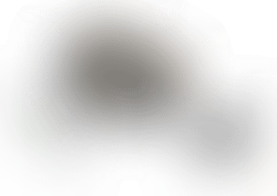 Вид