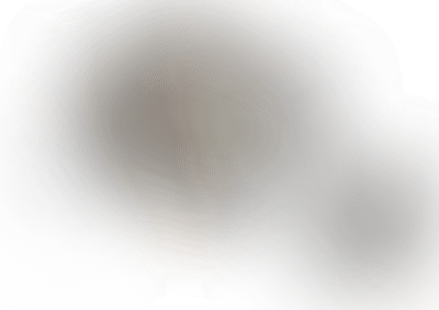 Вид