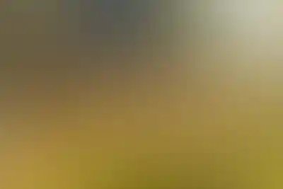 <p>Ландшафтный парк как место притяжения</p>
