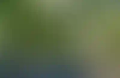 <p>Парк&nbsp;Березовая&nbsp;роща 42 ГА напротив</p>