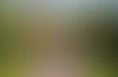 <p>Собственный<br />ландшафтный парк</p>