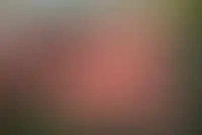 <p>Мультикомпонентный<br />двор</p>