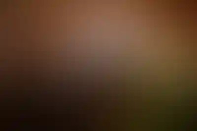 <p>УК с премиальными сервисами</p>