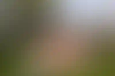 <p>Площадка для йоги</p>