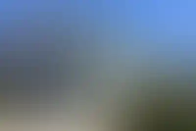 <p>Рейтинговые&nbsp;школы&nbsp;Москвы<br />в&nbsp;шаговой&nbsp;доступности</p>