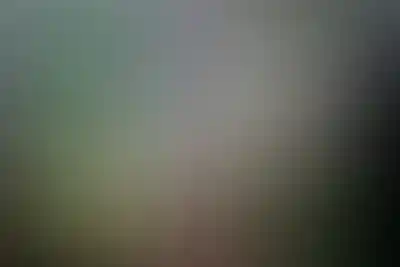 <p>Многоуровневая система охраны</p>