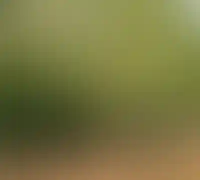 Всесезонное&nbsp;озеленение<br/>из&nbsp;немецких&nbsp;питомников