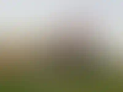 <p>Лучшие&nbsp;спортивные площадки&nbsp;столицы</p>