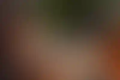 <p>Дизайнерское лобби</p>