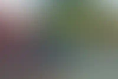 Изображение карточки