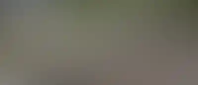 Изображение карточки