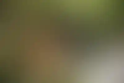 Изображение карточки