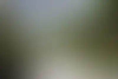 Изображение карточки