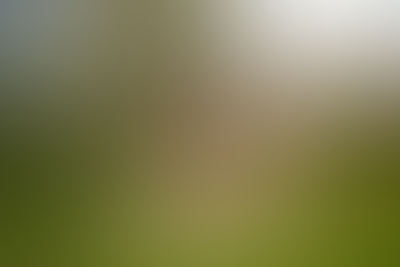 Изображение карточки