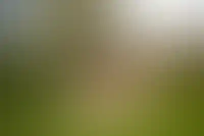 Изображение карточки