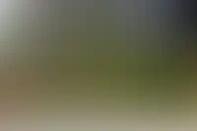 Изображение карточки