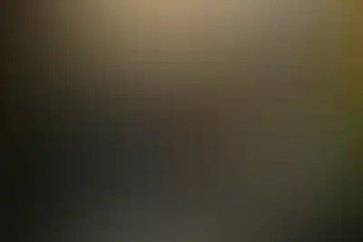 Проект Зорге 9