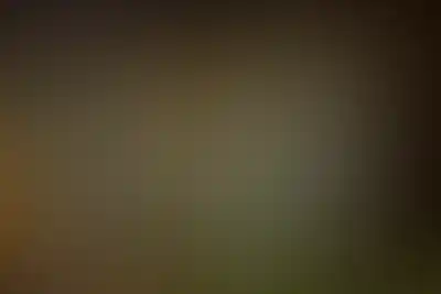 Проект Зорге 9