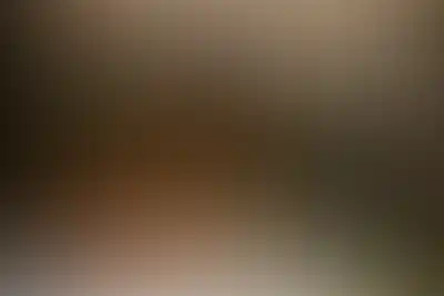 Проект Зорге 9