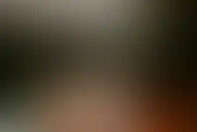 Проект Зорге 9