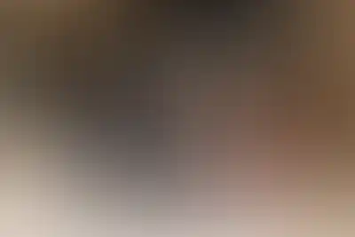 Проект Зорге 9