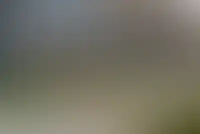 Архитектура Проект Зорге 9