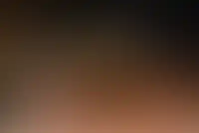 Проект Зорге 9