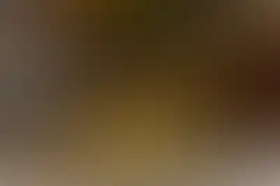 Проект Зорге 9